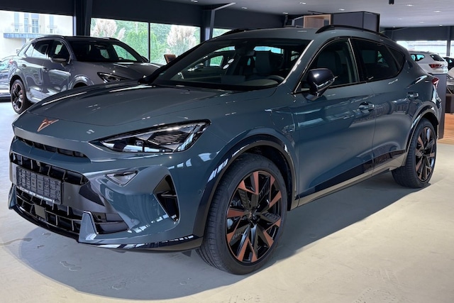 CUPRA Formentor e-Hybrid Klima Navi Rückfahrkamera (058724)