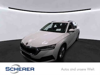 erstes Vorschaubild