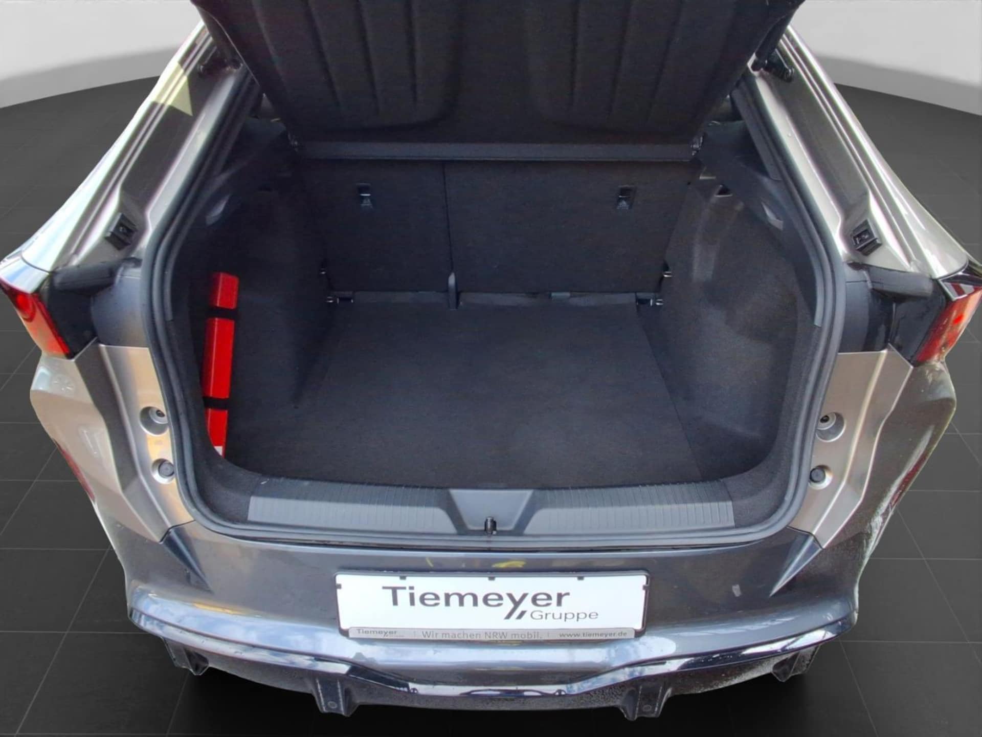 CUPRA Tavascan Endurance