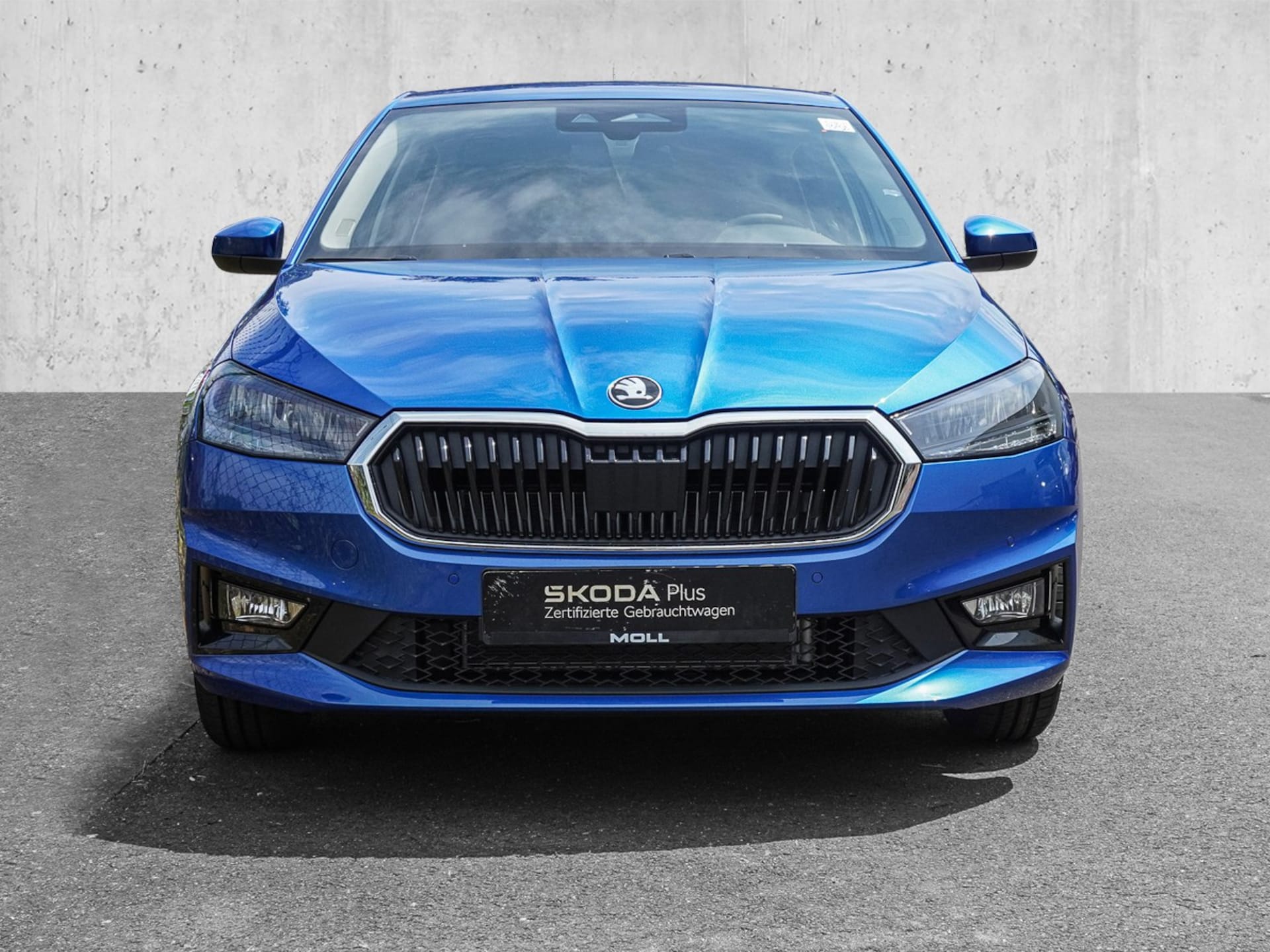 Skoda Fabia Selection