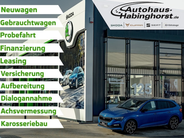 Bild des Autos 3