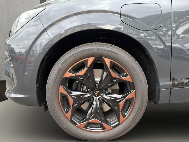 Bild des Autos 19