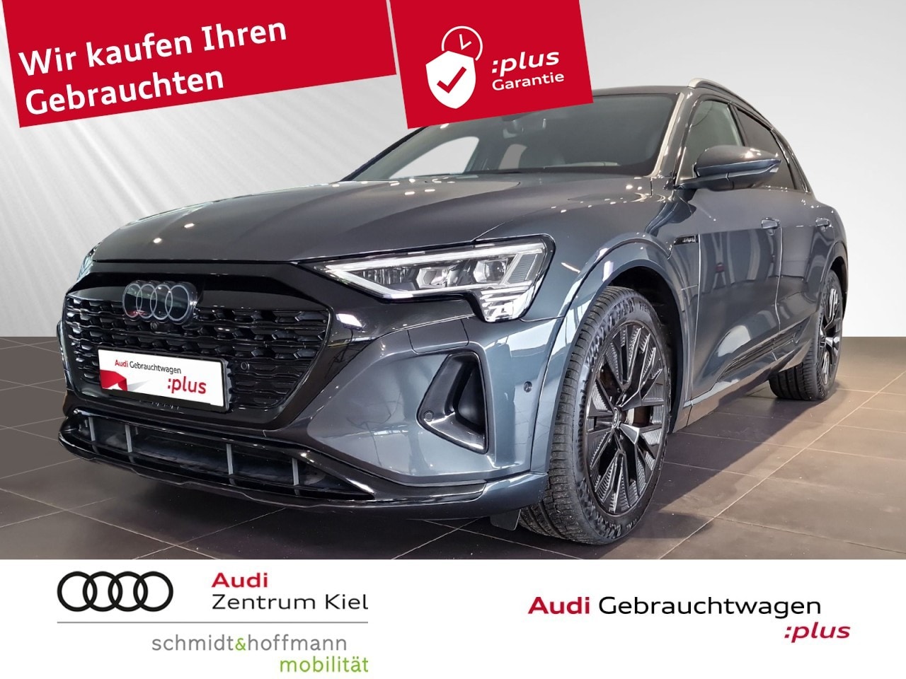Audi Q8 e-tron occasion