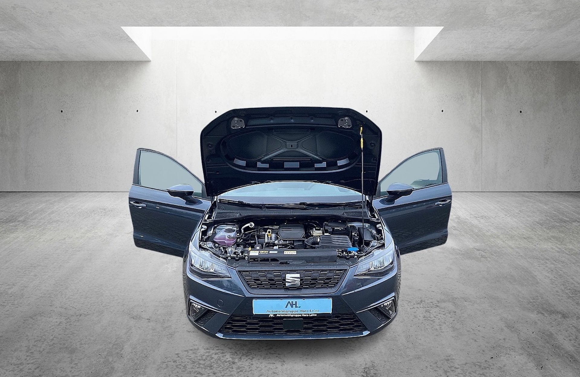 SEAT Ibiza Reference