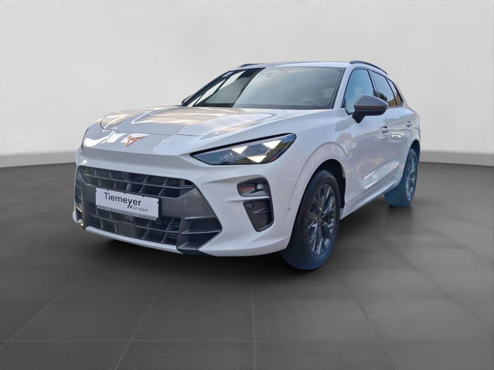 CUPRA Terramar – Bild 2