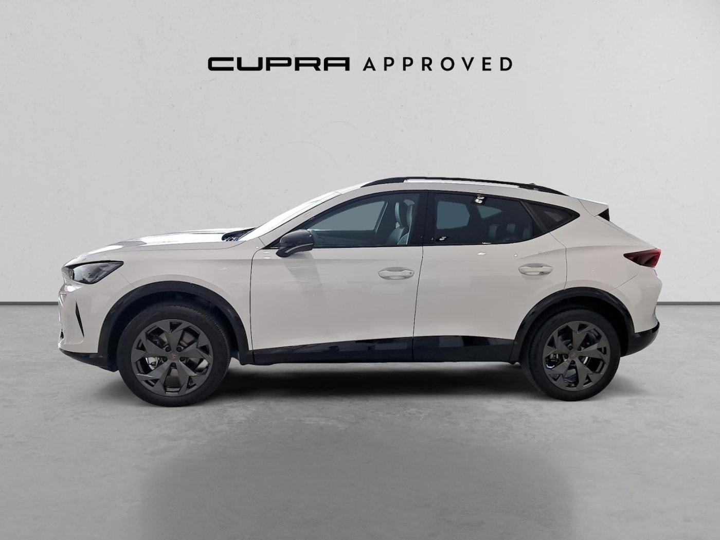 CUPRA Formentor 1.5 eTSI DSG 110 kW (150 CV) — photo 15