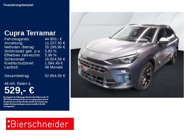 CUPRA Terramar 2.0 TSI DSG VZ AHK AKEBONO PANO (17496_GW_HDH-A)