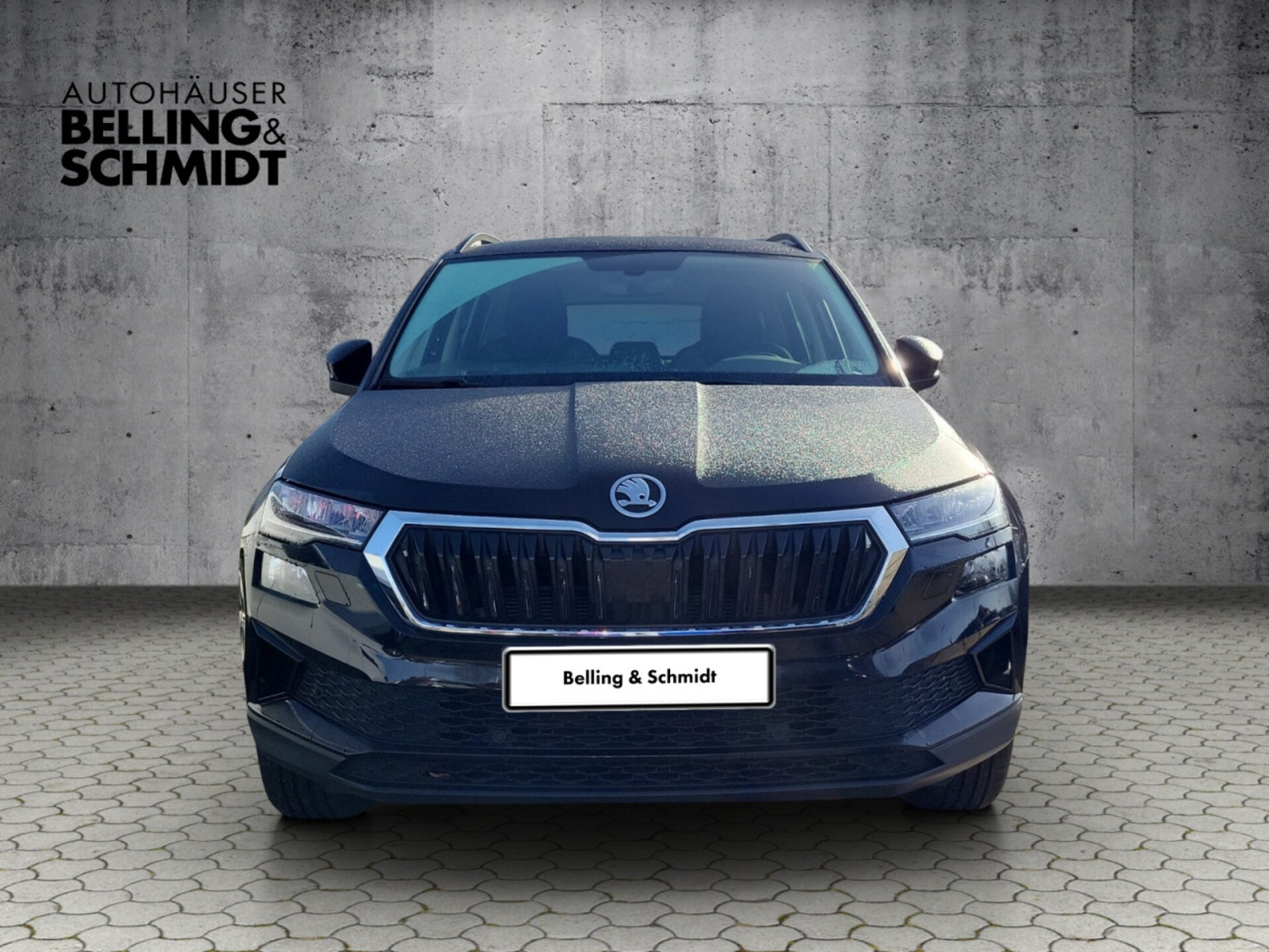 Skoda Karoq Ambition