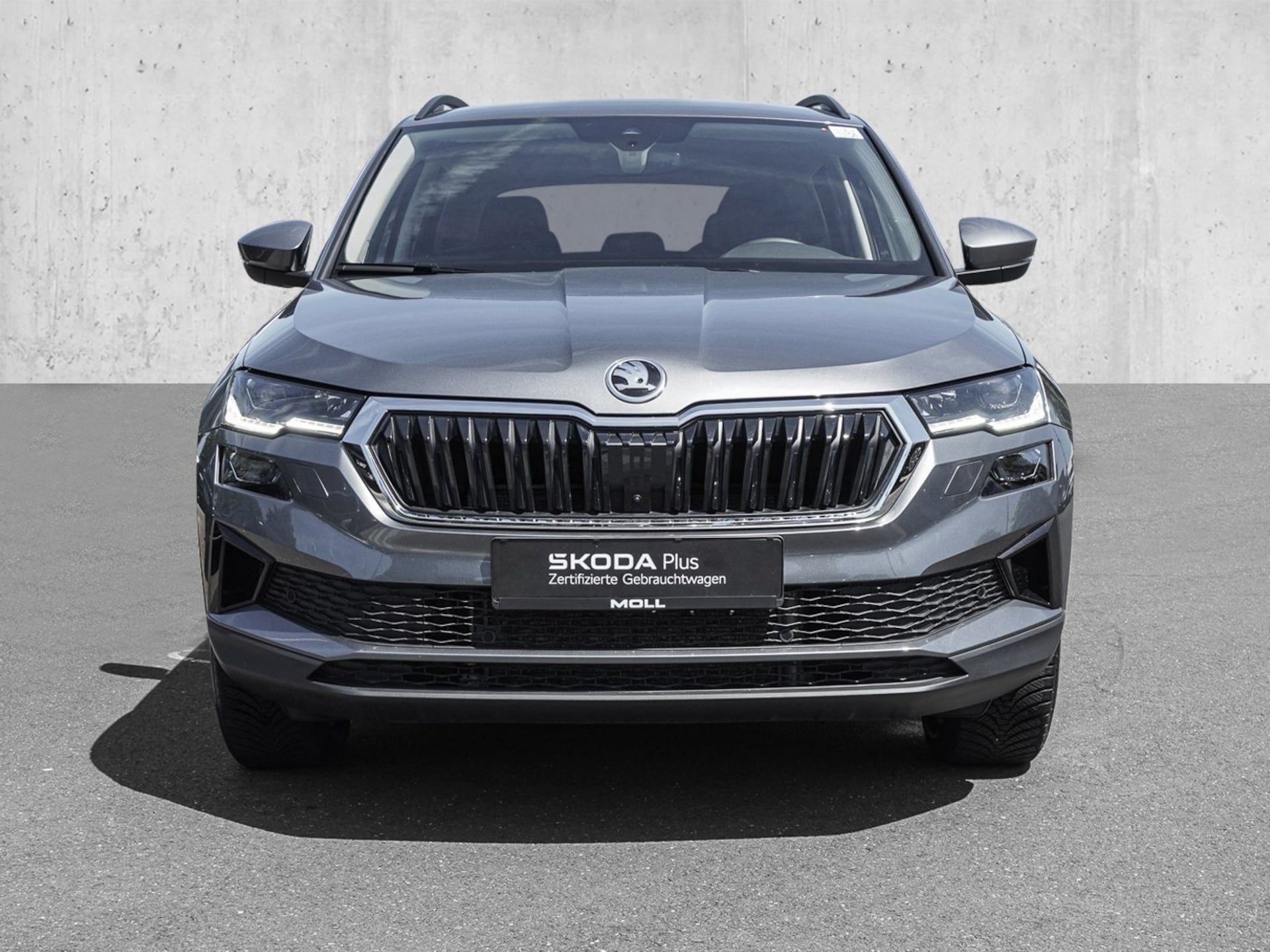 Skoda Karoq Selection