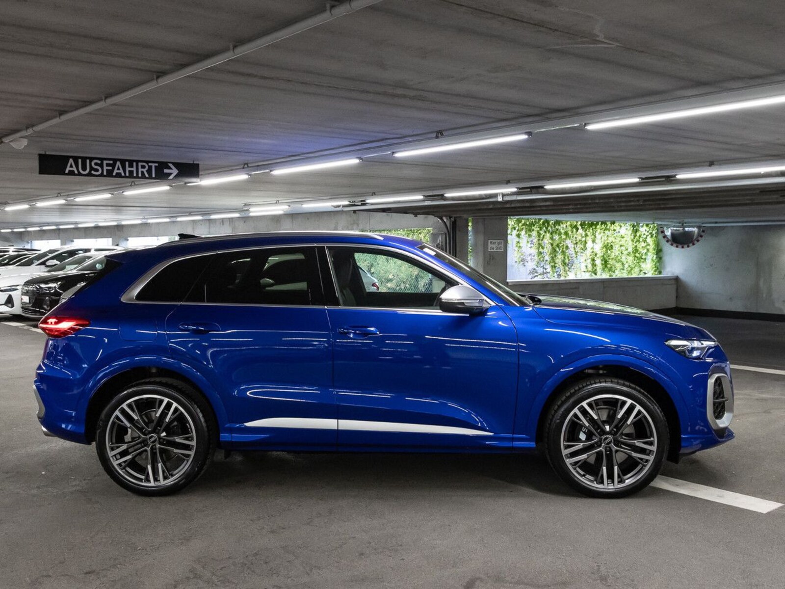 Audi SQ5 – Bild 6