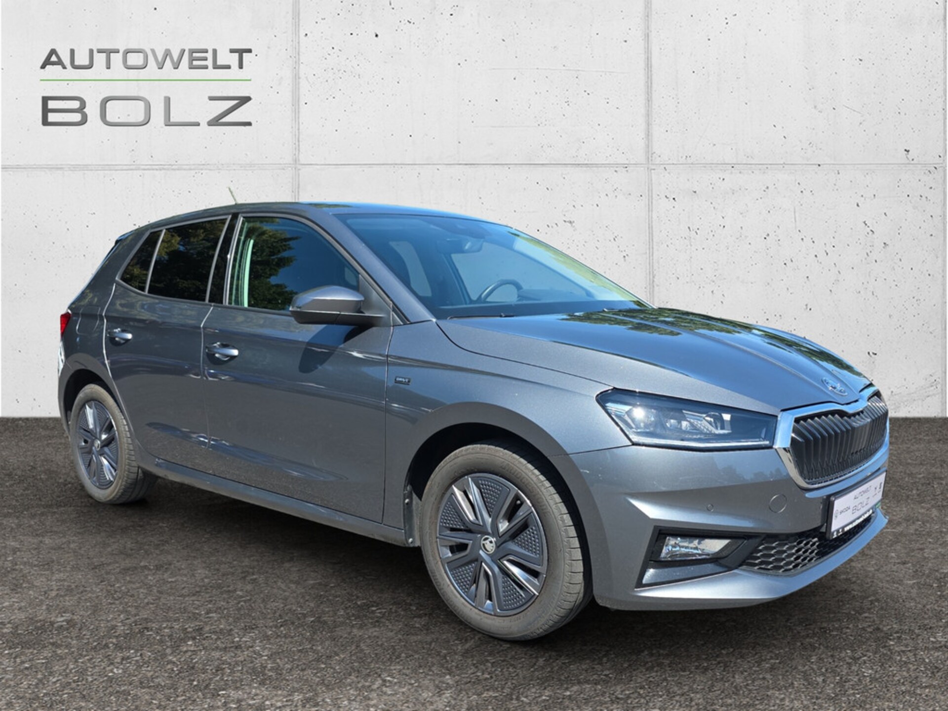 Skoda Fabia Selection