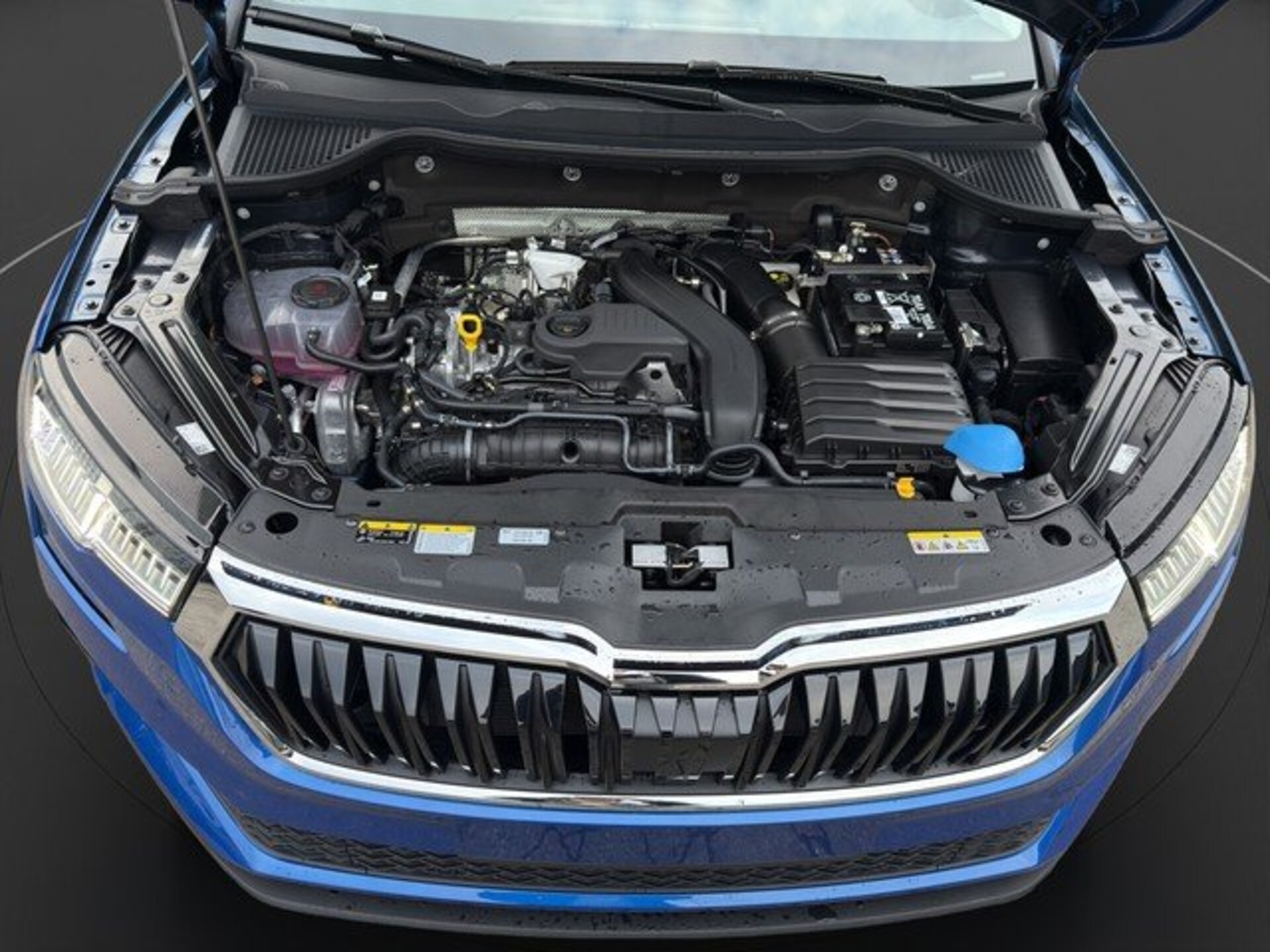 Skoda Karoq Selection