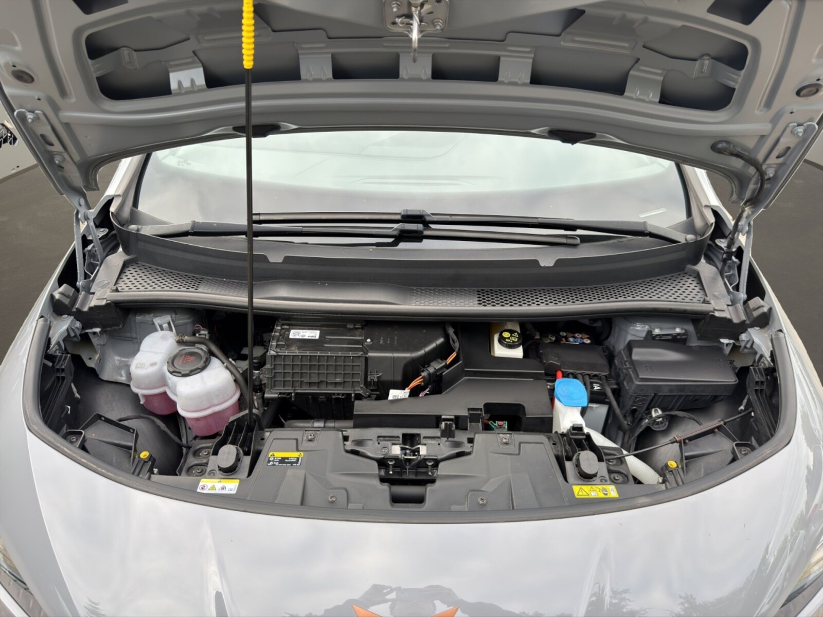 CUPRA Born – Bild 16