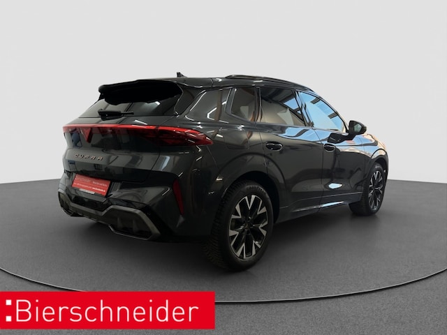 Bild des Autos 6