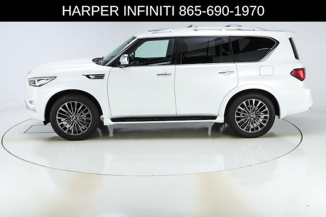 2024 Infiniti QX80