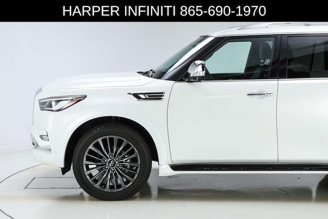 2024 Infiniti QX80