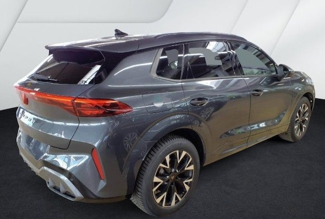 Bild des Autos 2