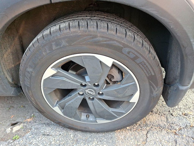 Photo 4