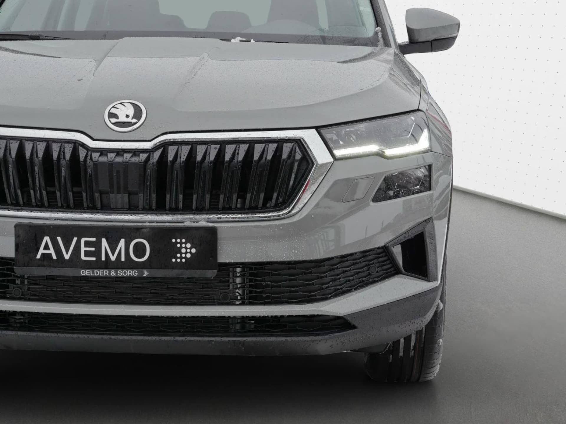 Skoda Karoq Selection