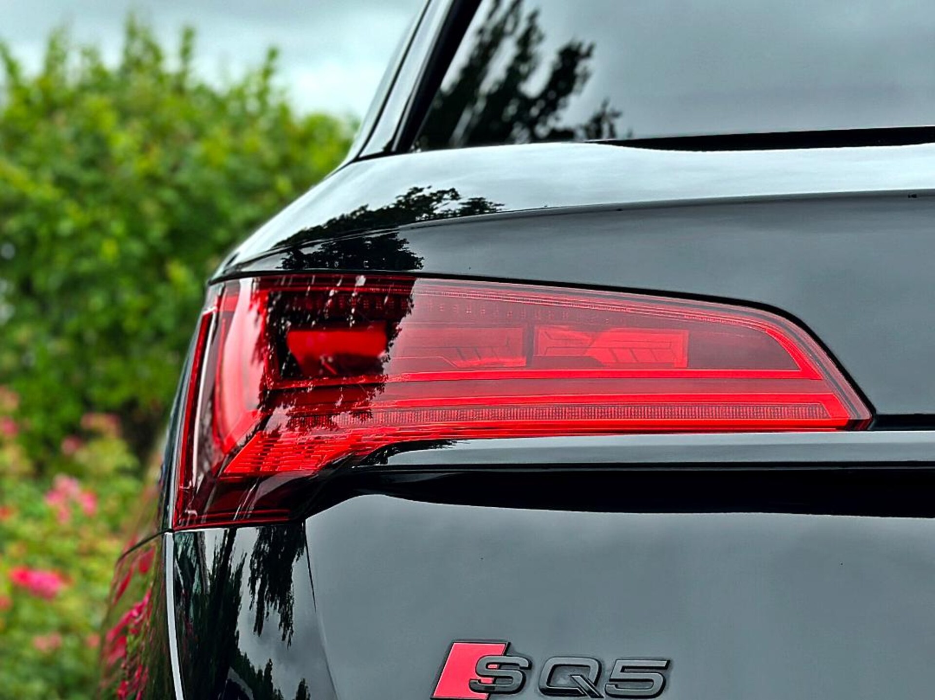 Audi SQ5 SUV