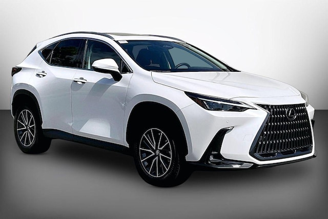 2025 Lexus NX 250