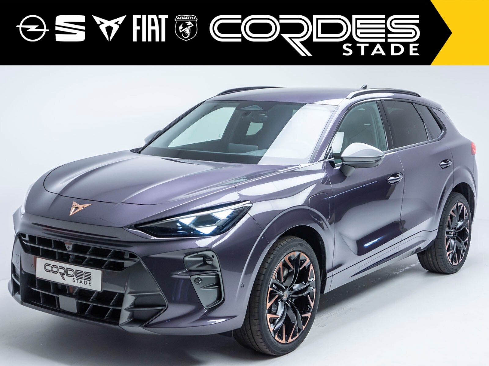 CUPRA Terramar – Bild 2