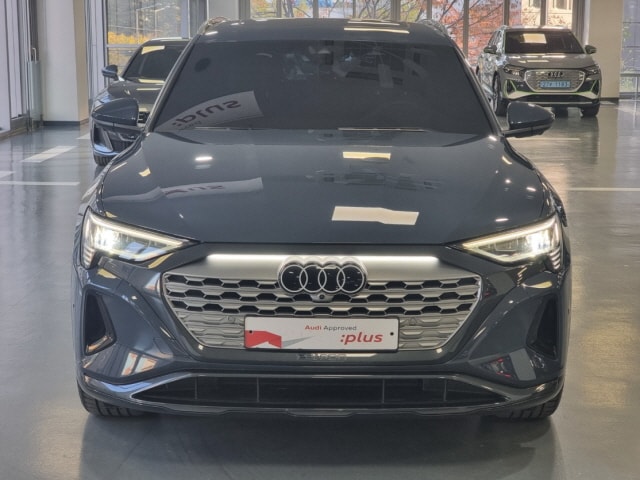 Audi Q8 e-tron 55 quattro kW 4