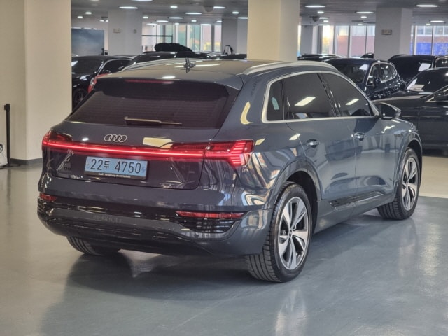 Audi Q8 e-tron 55 quattro kW 3