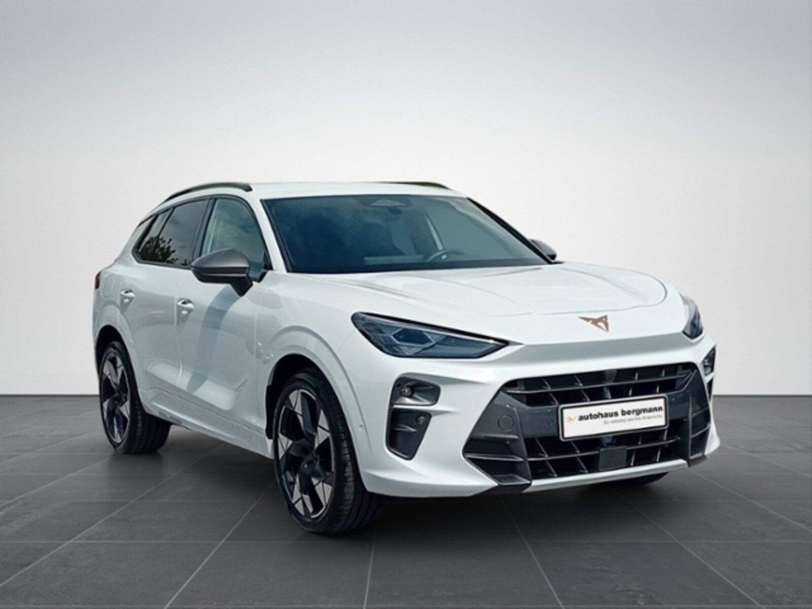 CUPRA Terramar – Bild 9