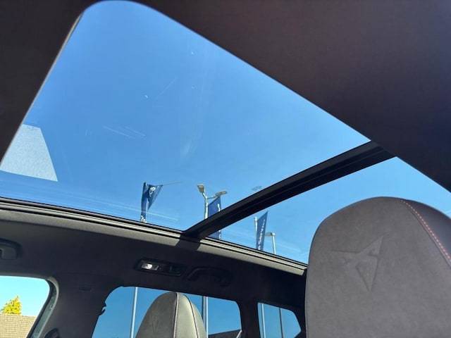 Bild des Autos 13