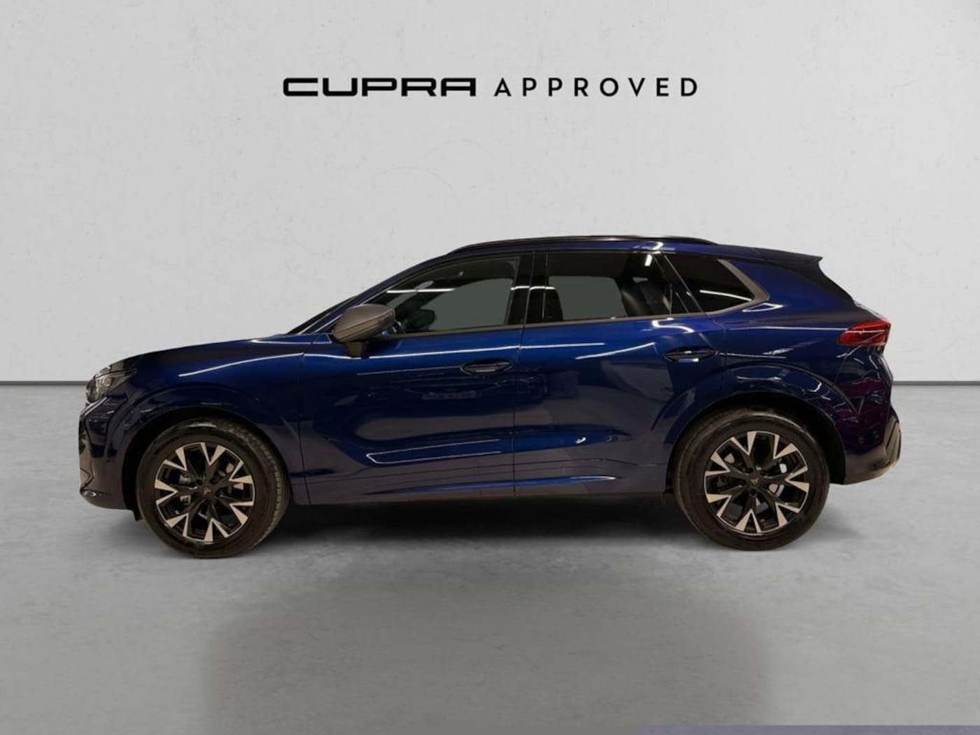 CUPRA Terramar 1.5 eTSI DSG 110 kW (150 CV) — photo 15