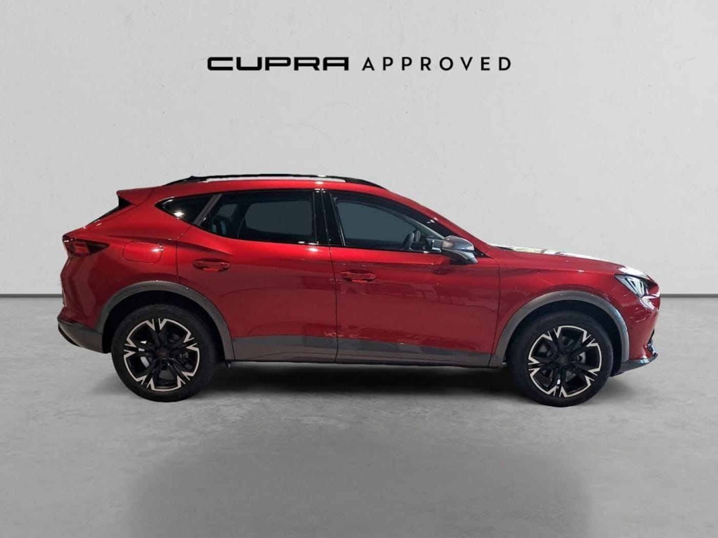 CUPRA Formentor 2.0 TDI 4Drive 110 kW (150 CV) DSG — photo 3