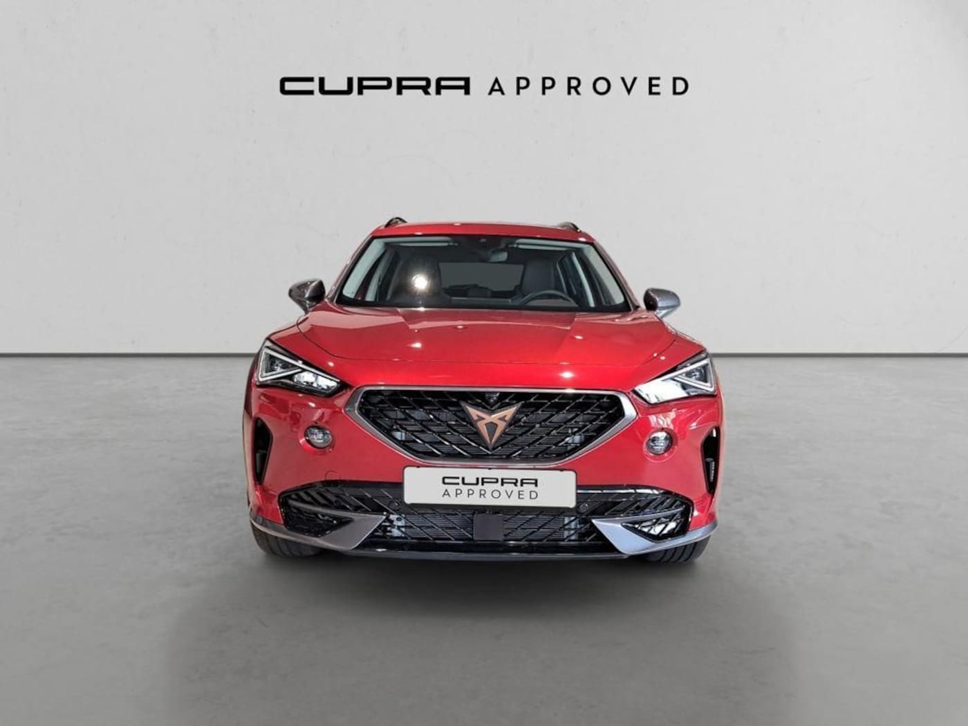 CUPRA Formentor 2.0 TDI 4Drive 110 kW (150 CV) DSG — photo 11
