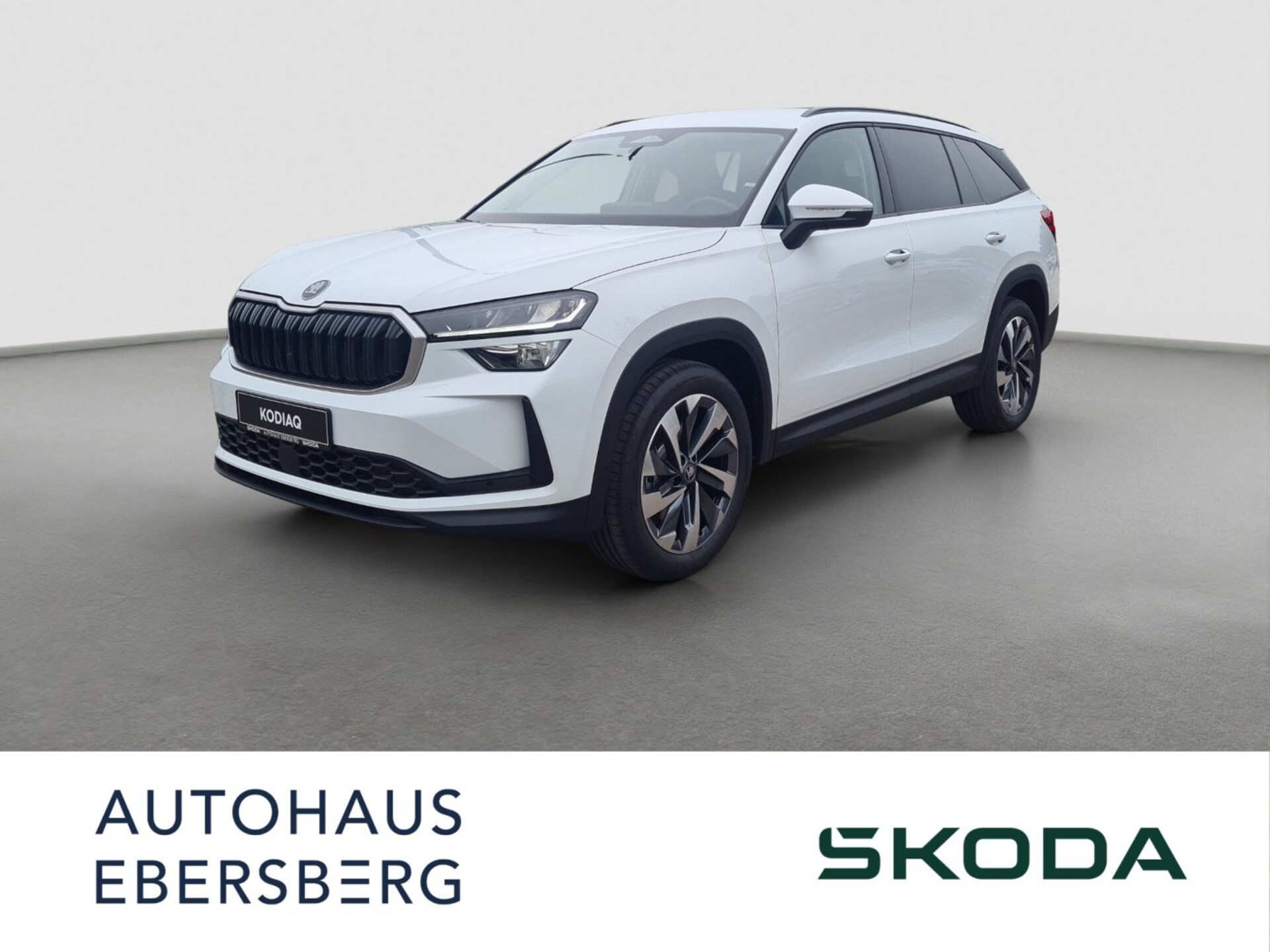 Skoda Kodiaq Selection