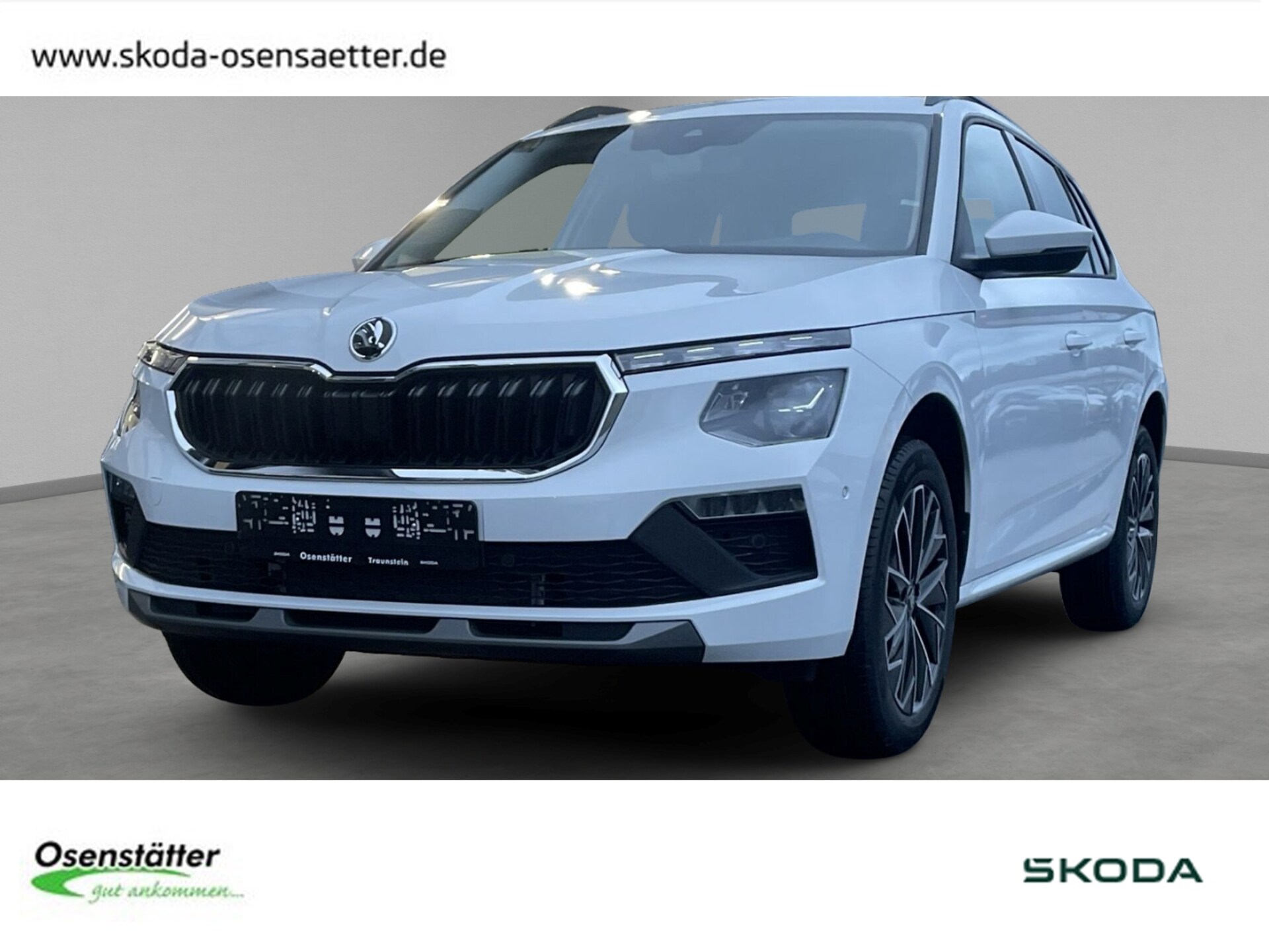 Skoda Kamiq Selection