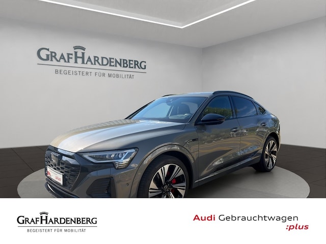 Audi Q8 e-tron occasion