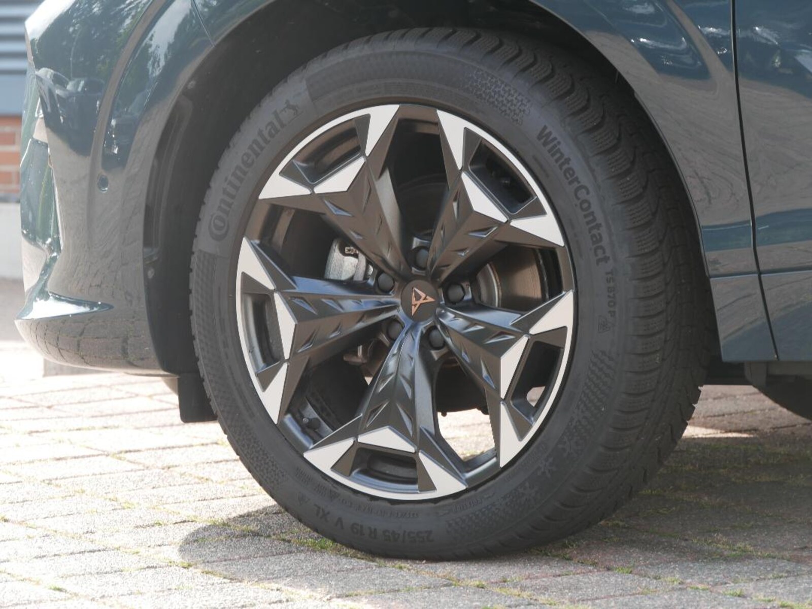 CUPRA Terramar – Bild 6