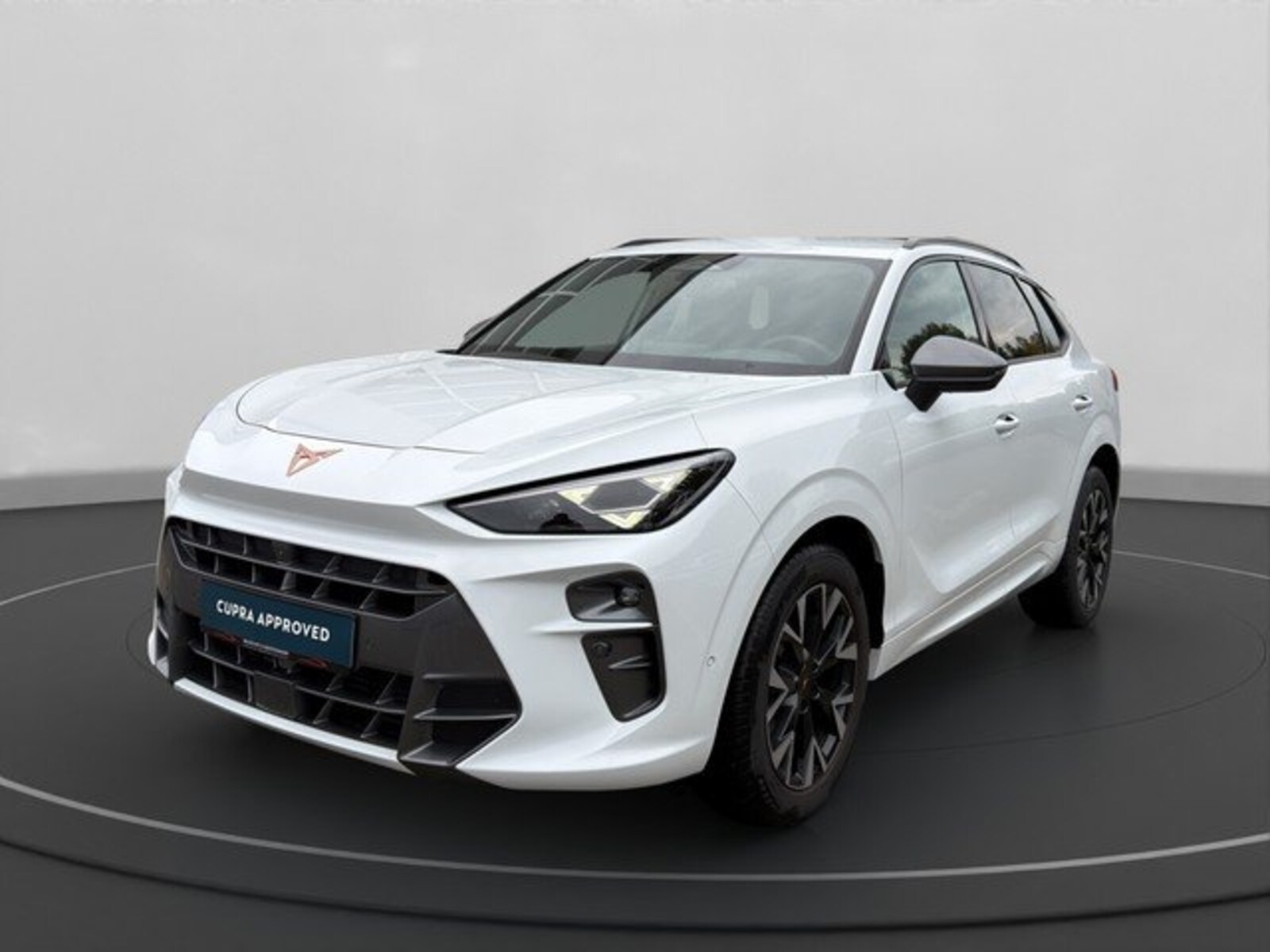 CUPRA Terramar – Bild 2
