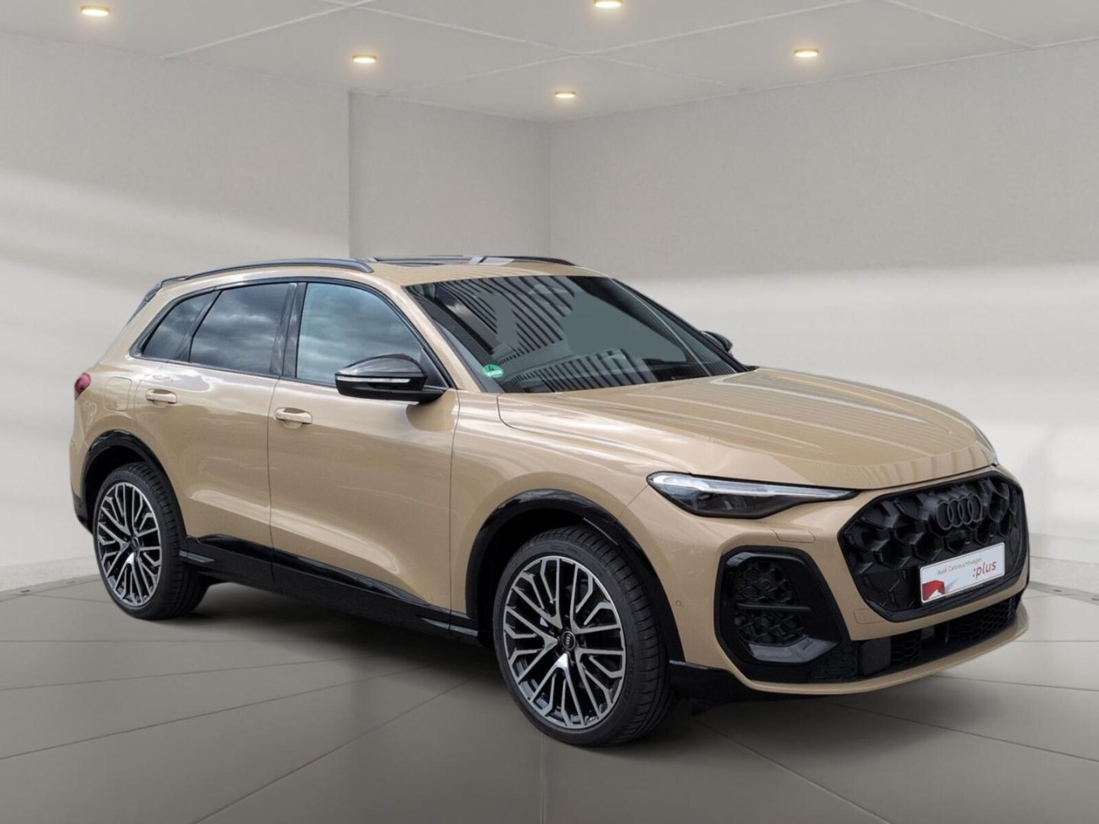 Audi SQ5 – Bild 6