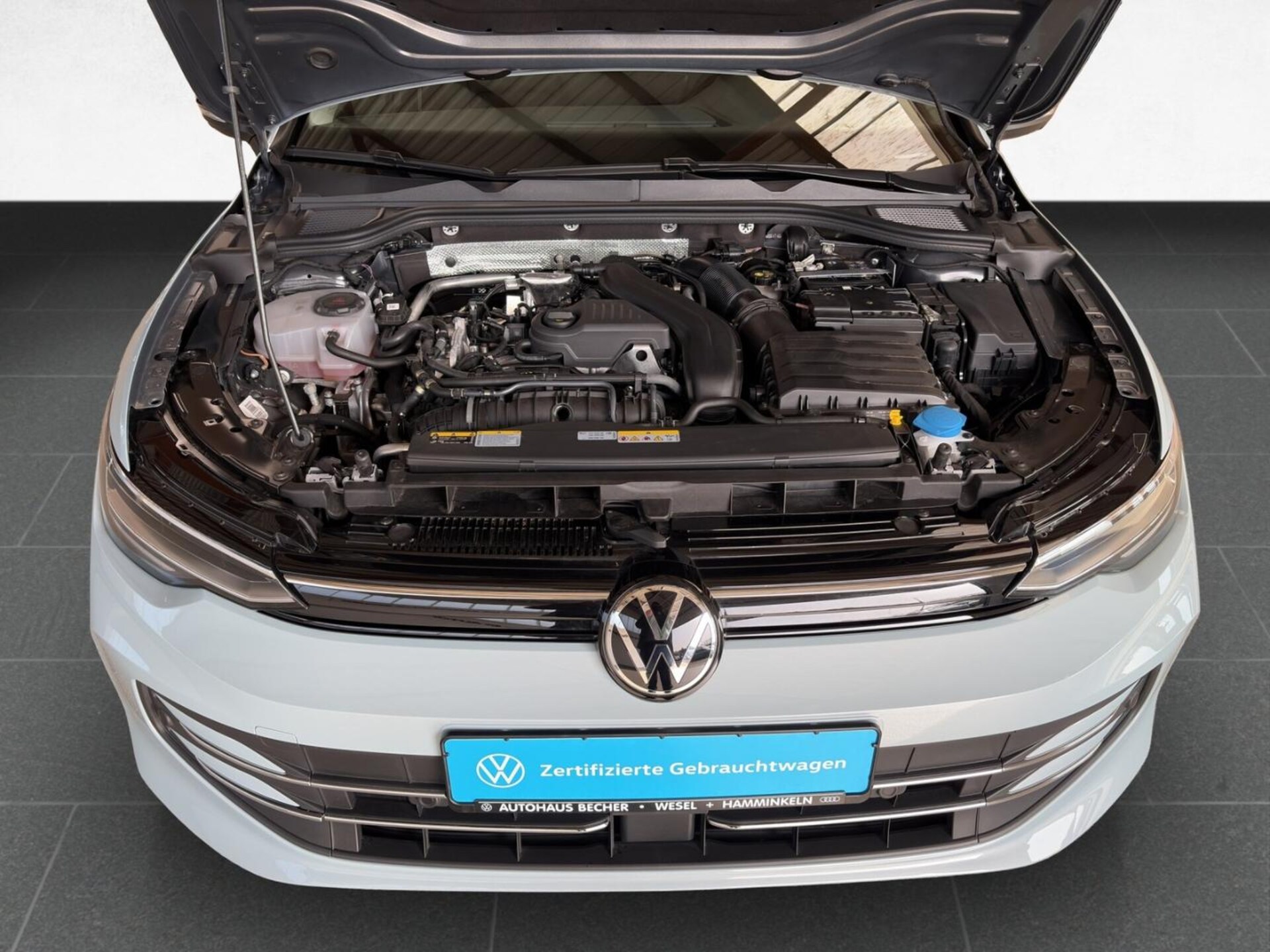 Volkswagen Golf Variant Goal