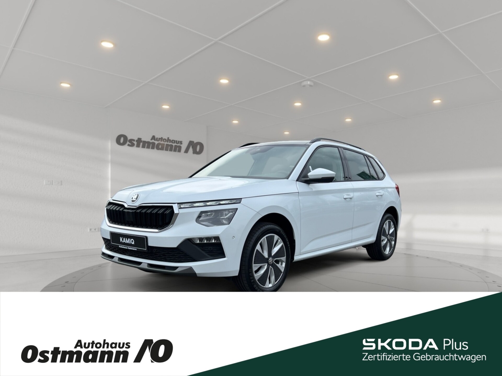 Skoda Kamiq Selection