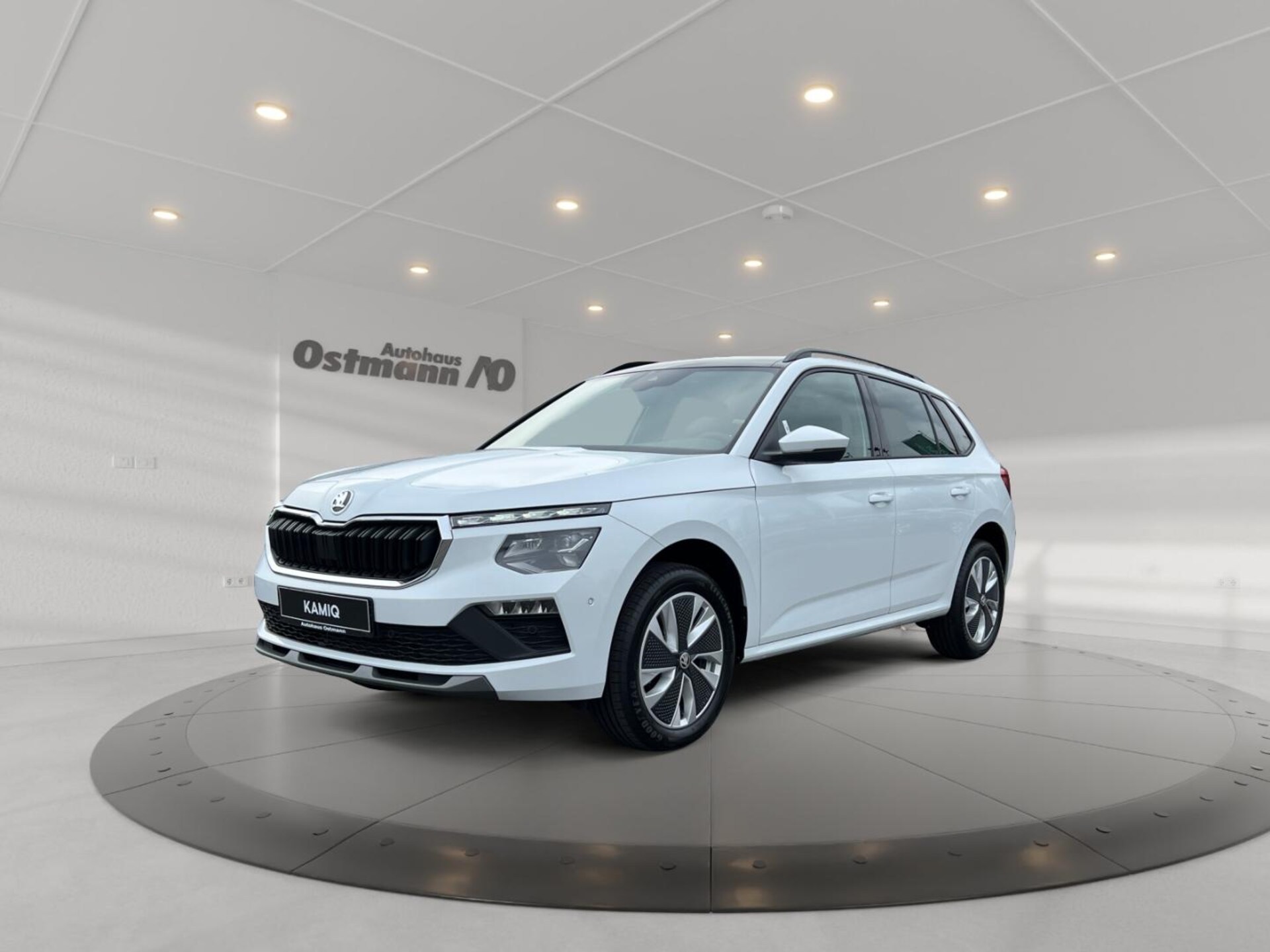 Skoda Kamiq Selection