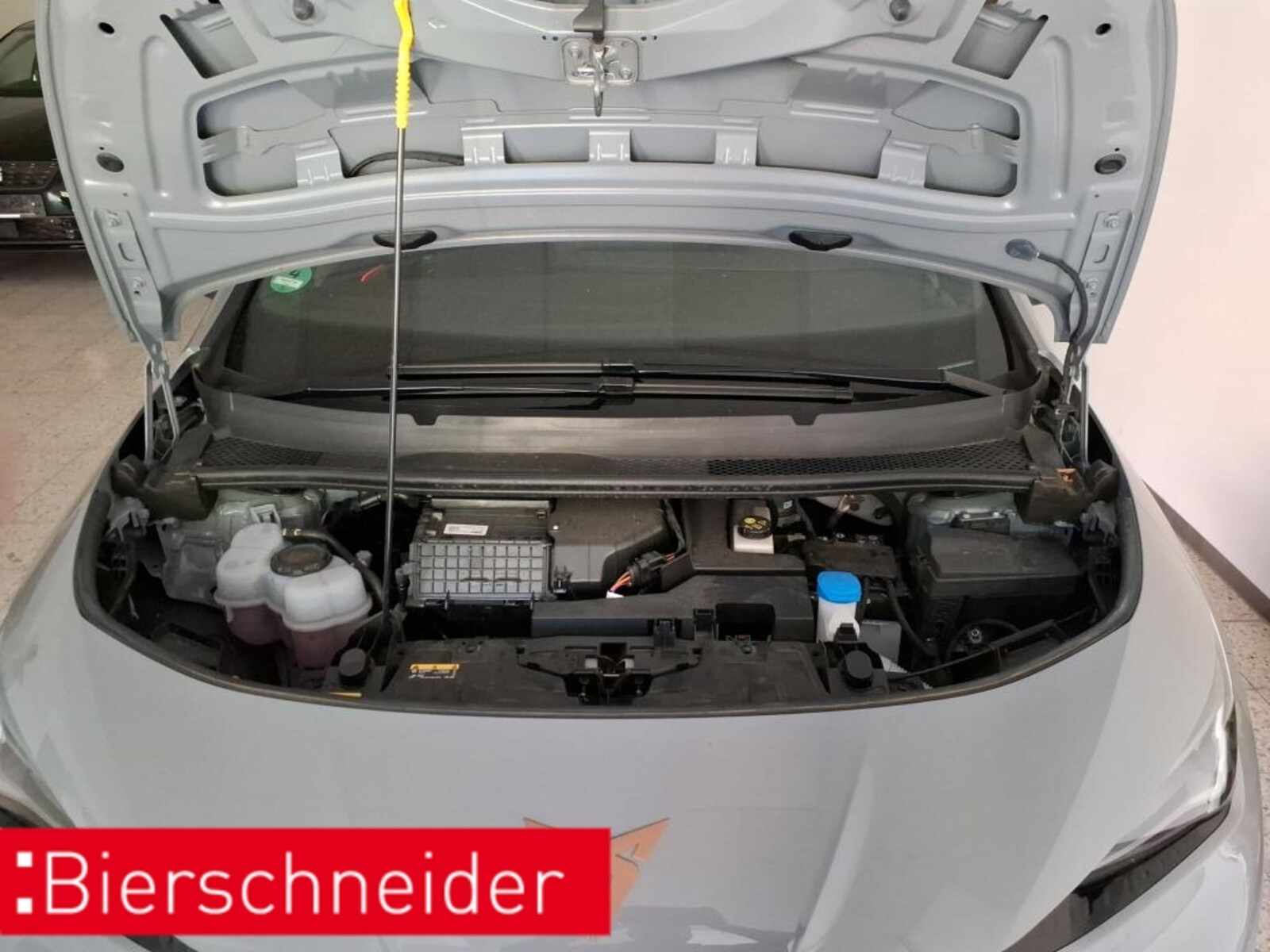 CUPRA Born – Bild 13