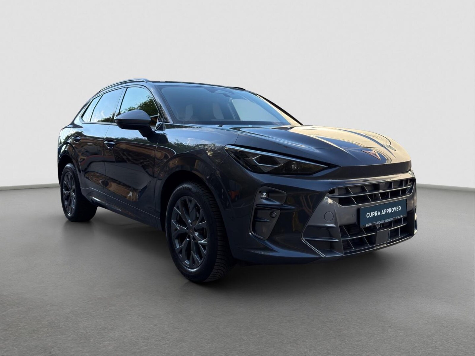CUPRA Terramar – Bild 4