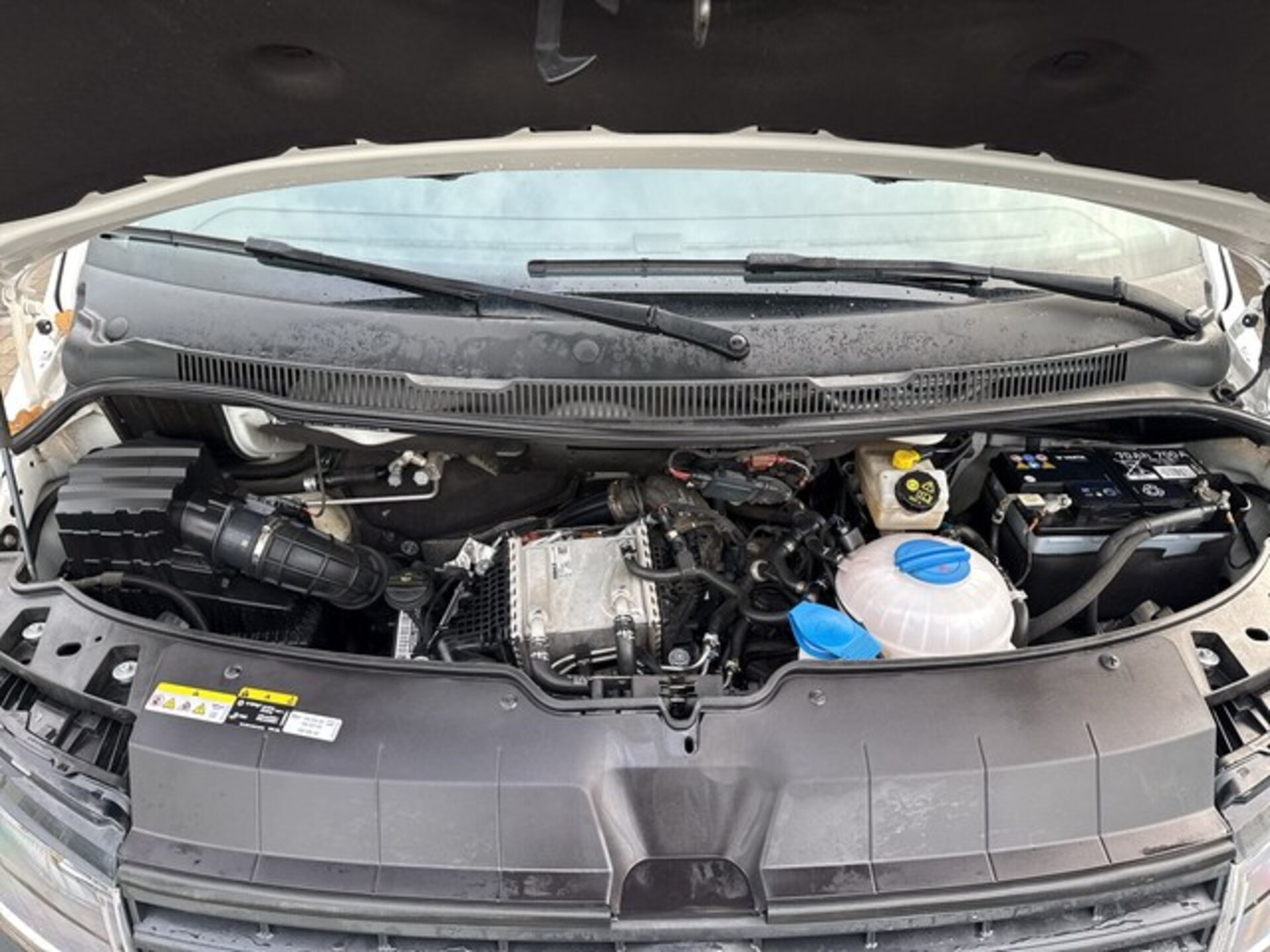 Volkswagen T6.1 Transporter Kasten kurzer Radstand