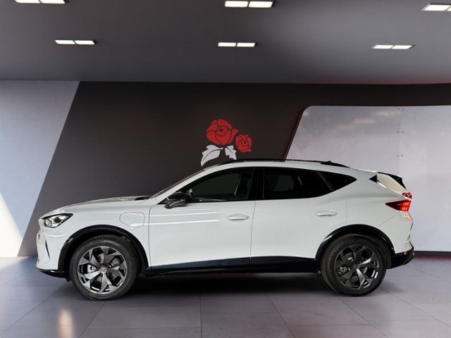 Bild des Autos 3