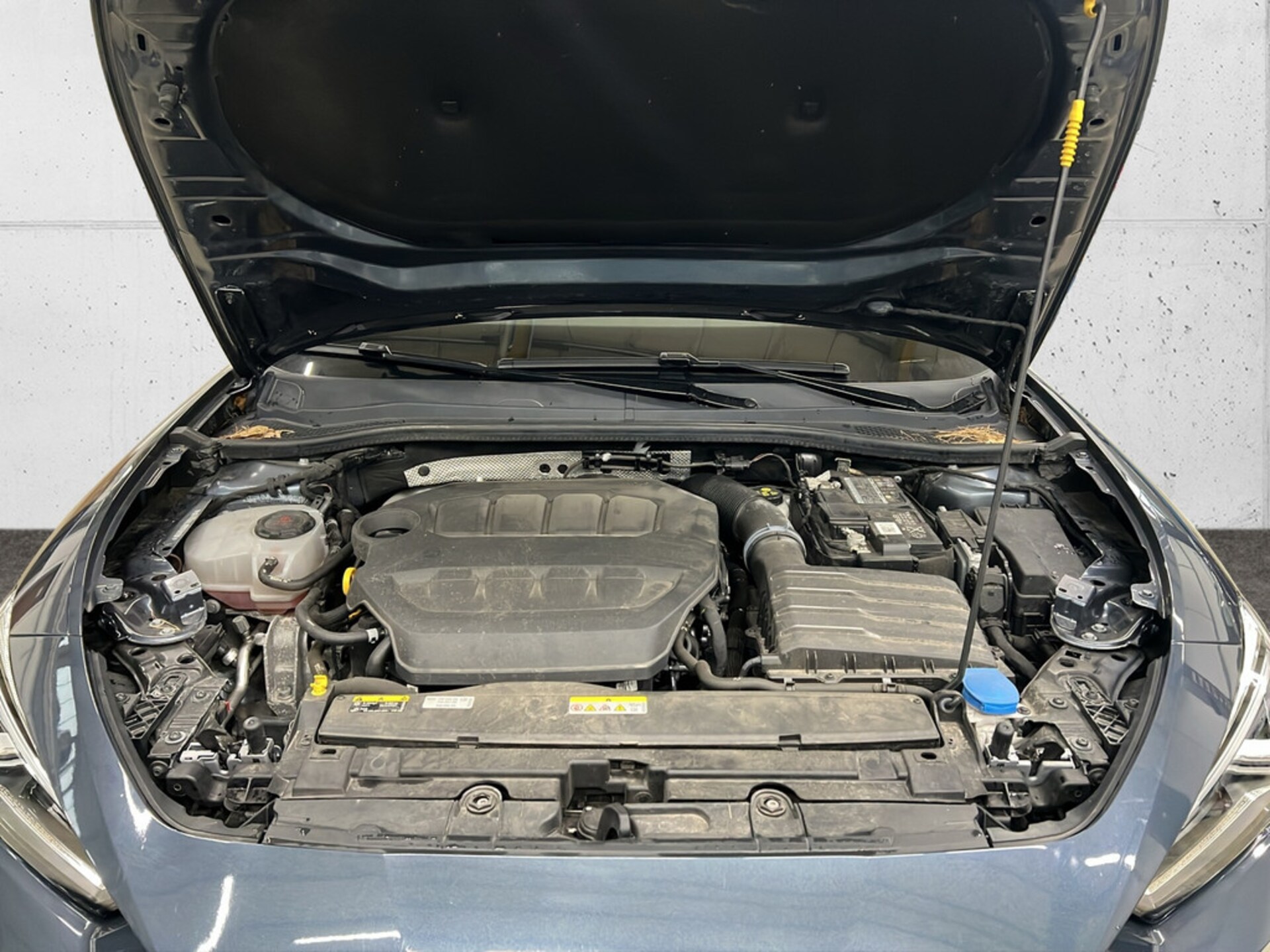 CUPRA Leon Sportstourer VZ