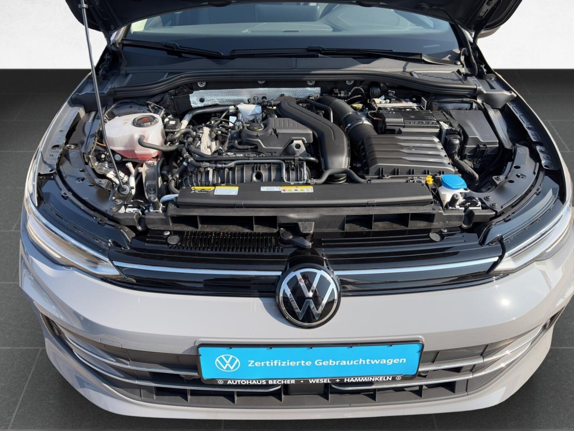 Volkswagen Golf Variant Goal