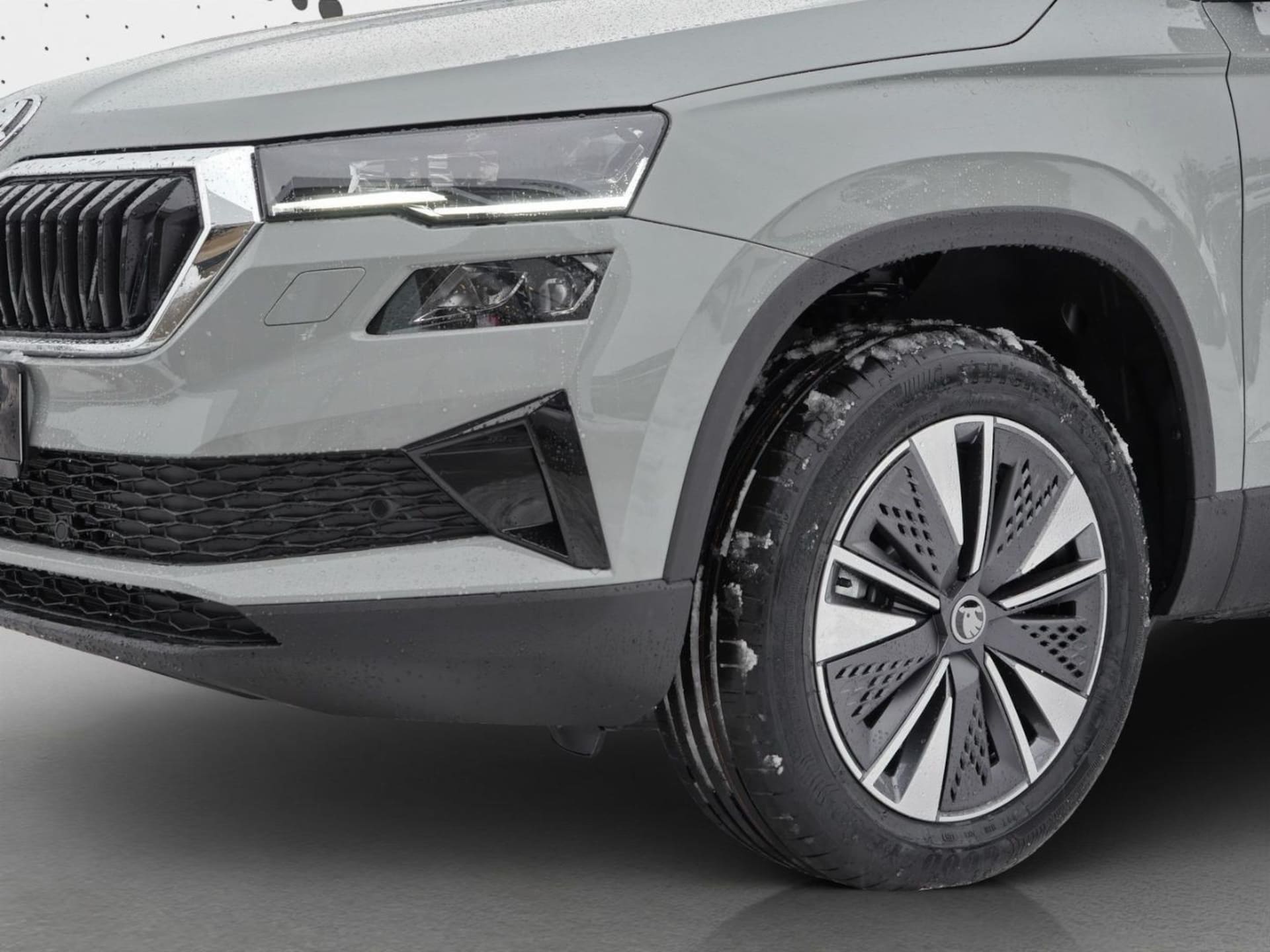 Skoda Karoq Selection