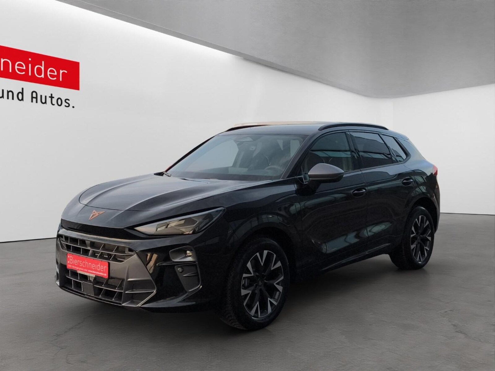 CUPRA Terramar – Bild 2